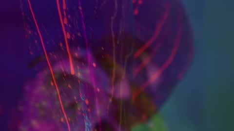 Snapshot of heybanan chatting on September 8, 2025, 5:34 pm Alina online show from September 8, 2025, 5:34 pm