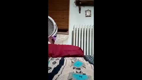 Snapshot of heythatguy2589 chatting on March 21, 2026, 9:36 am heythatguy2589 online show from March 21, 2026, 9:36 am