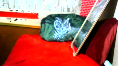 hhhjnf1 online show from September 17, 2025, 7:10 am