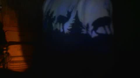 hhhjnf1 online show from November 20, 2025, 11:43 am