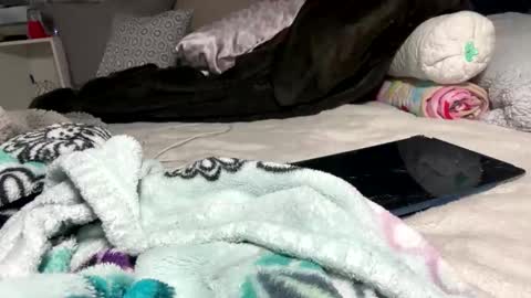 Bondage blondiie online show from June 5, 2026, 4:30 am