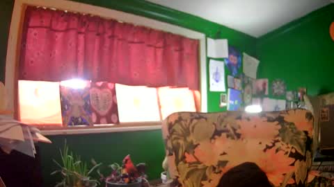 hippiedad333 online show from June 16, 2026, 9:17 pm