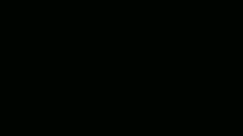 hofnung online show from April 2, 2026, 1:09 pm