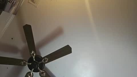 hoglegg99384194 online show from November 2, 2025, 11:01 am