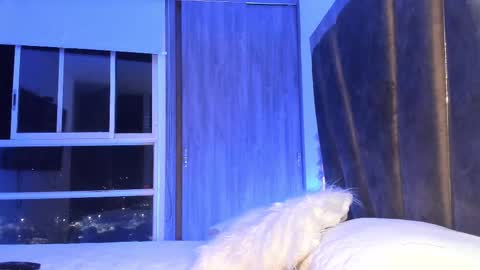 Mara online show from February 11, 2025, 3:29 am