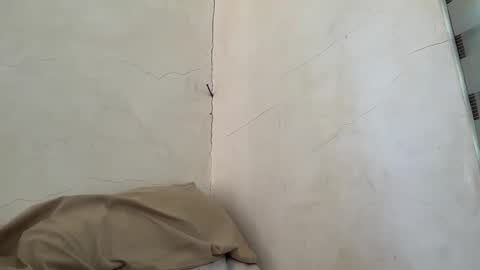 holly_wyn online show from April 11, 2026, 1:21 am