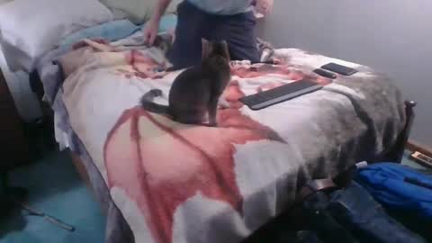 Sebastians Mess online show from October 4, 2025, 12:41 am