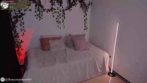       online show from February 24, 2025, 10:14 pm