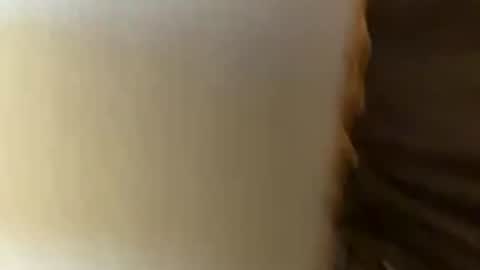 Snapshot of hoodrobbin447 chatting on December 18, 2025, 12:17 am hoodrobbin447 online show from December 18, 2025, 12:17 am