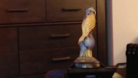 ItsReeleMe online show from February 8, 2026, 4:38 am