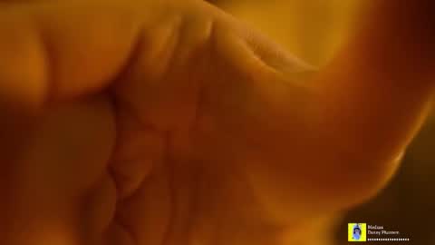 Snapshot of horneyjozy chatting on November 7, 2025, 6:52 pm Horney Jozy online show from November 7, 2025, 6:52 pm