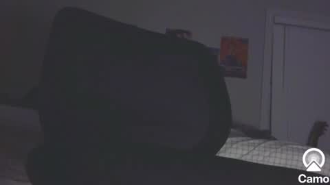 horny0g online show from January 24, 2025, 4:59 am