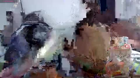 horny and daring online show from June 6, 2026, 6:34 pm