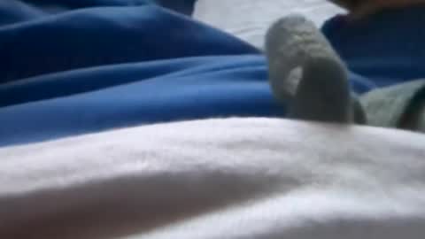 Tiny cock online show from July 8, 2026, 1:32 am