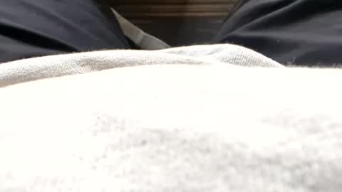 Tiny cock online show from July 15, 2026, 11:37 am