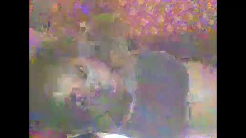 Snapshot of hornygal001 chatting on April 8, 2026, 5:07 am hornygal001 online show from April 8, 2026, 5:07 am