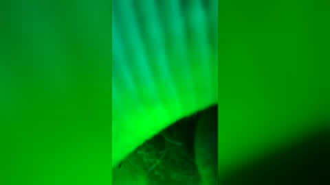 Snapshot of hornygrantie chatting on August 8, 2026, 7:49 pm hornygrantie online show from August 8, 2026, 7:49 pm