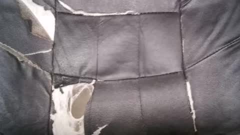 horsecockboy21 online show from March 1, 2026, 7:54 am