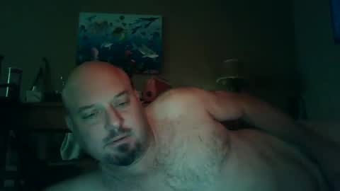 Snapshot of horsenamedcharlie chatting on December 8, 2024, 2:19 pm Charles online show from December 8, 2024, 2:19 pm