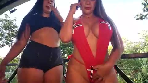 kittens online show from July 11, 2026, 12:08 pm