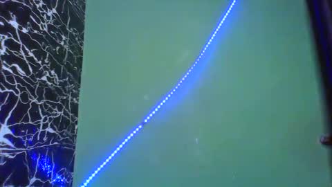 Snapshot of hot_stellaa chatting on February 14, 2025, 8:52 am Stella online show from February 14, 2025, 8:52 am