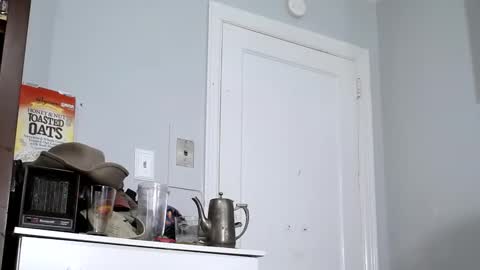 Snapshot of hotbaldcock49 chatting on September 10, 2025, 2:33 am Pete Mitchell online show from September 10, 2025, 2:33 am