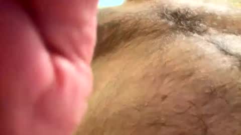 Hotty online show from December 17, 2025, 8:53 am