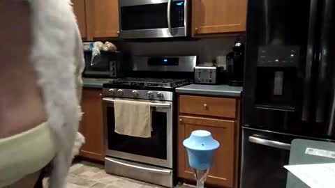 hotboobs117 online show from April 28, 2026, 4:50 am