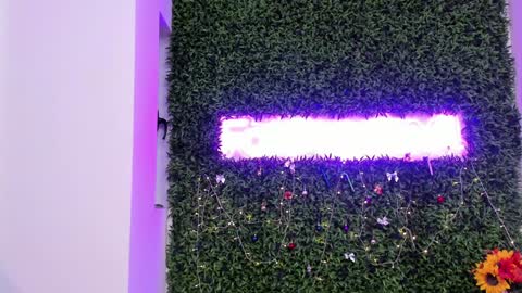 hotfallingdevil online show from December 21, 2025, 7:15 am