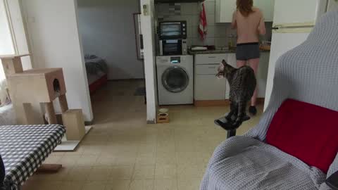 Snapshot of hotinhell666 chatting on December 24, 2024, 9:50 am Hikikomori Alex online show from December 24, 2024, 9:50 am