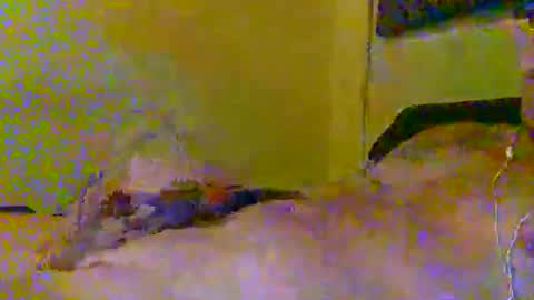 hotjox online show from March 5, 2026, 6:09 am