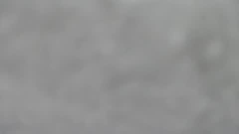 Slutty little female cat online show from January 18, 2026, 5:33 am