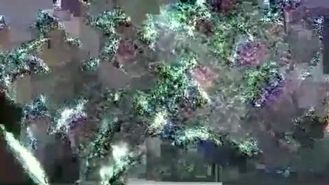 Snapshot of hp58649blabla chatting on September 17, 2025, 1:07 am hp58649blabla online show from September 17, 2025, 1:07 am