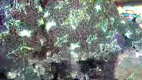 Snapshot of hp58649blabla chatting on September 24, 2025, 7:55 am hp58649blabla online show from September 24, 2025, 7:55 am