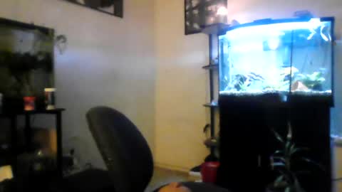 Snapshot of hrnyymff chatting on June 29, 2026, 4:52 am hrnyymff online show from June 29, 2026, 4:52 am
