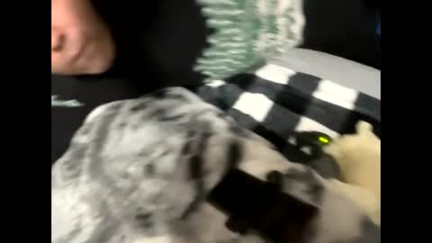 htfsb online show from February 15, 2026, 1:57 am