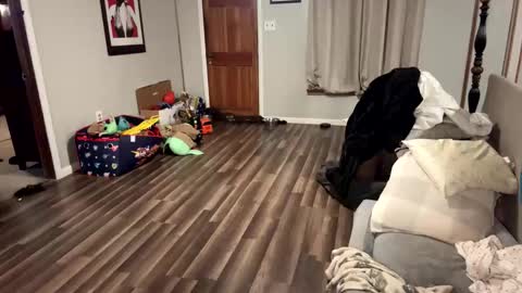 htwnswangn9 online show from March 31, 2026, 3:30 am