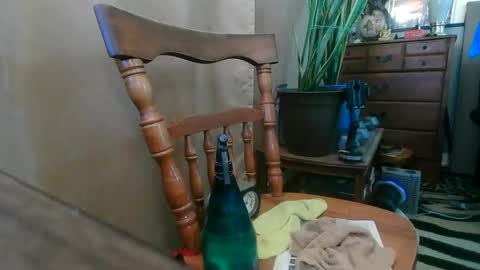 Snapshot of humandildo4u chatting on May 20, 2026, 12:17 am humandildo4u online show from May 20, 2026, 12:17 am