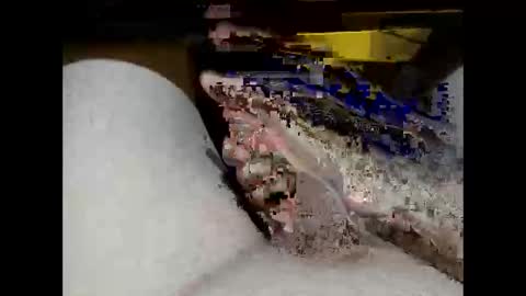 hung_mac0 online show from February 17, 2026, 2:13 pm