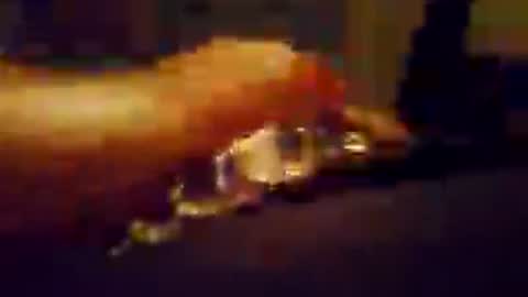 Snapshot of hungnhard1991 chatting on July 23, 2026, 5:11 pm Aussieboy69 online show from July 23, 2026, 5:11 pm
