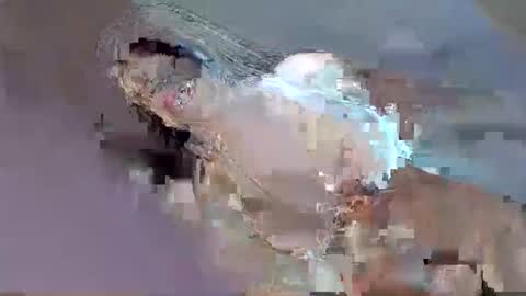 cant get you out of my head online show from September 12, 2025, 12:33 am