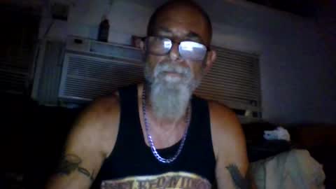 Snapshot of iamgoat_69 chatting on June 11, 2026, 3:04 am Goat Lulu Elektra online show from June 11, 2026, 3:04 am