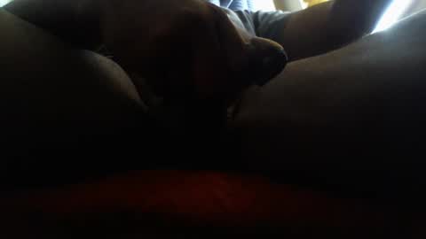 icecreamman6986 online show from January 1, 2025, 8:15 pm