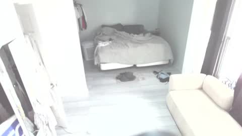 idiocracy517035 online show from October 28, 2025, 11:29 pm