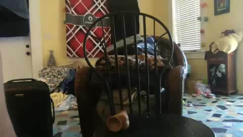 idksohorny online show from December 20, 2024, 4:36 pm