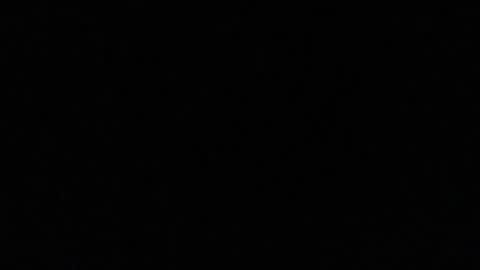 idksohorny online show from January 2, 2025, 11:49 pm