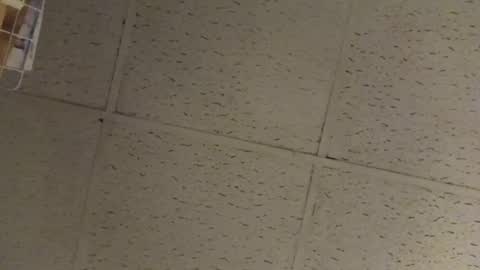 igcognito647033 online show from February 20, 2026, 7:54 am