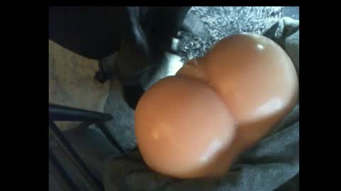 ilikesexyLadys online show from March 9, 2025, 11:25 pm