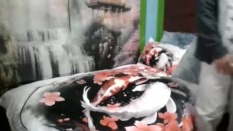 ilovebunny69 online show from November 19, 2025, 2:55 am