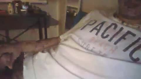Snapshot of ilovecolombianas69 chatting on March 24, 2026, 5:23 am ilovecolombianas69 online show from March 24, 2026, 5:23 am